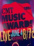 2014 Cmt Music Awards