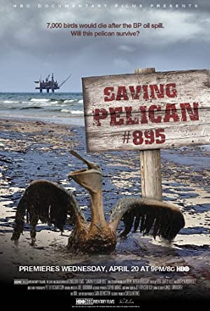 Saving Pelican 895