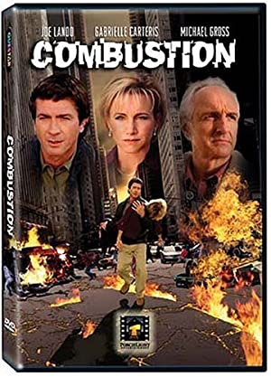 Combustion 2005