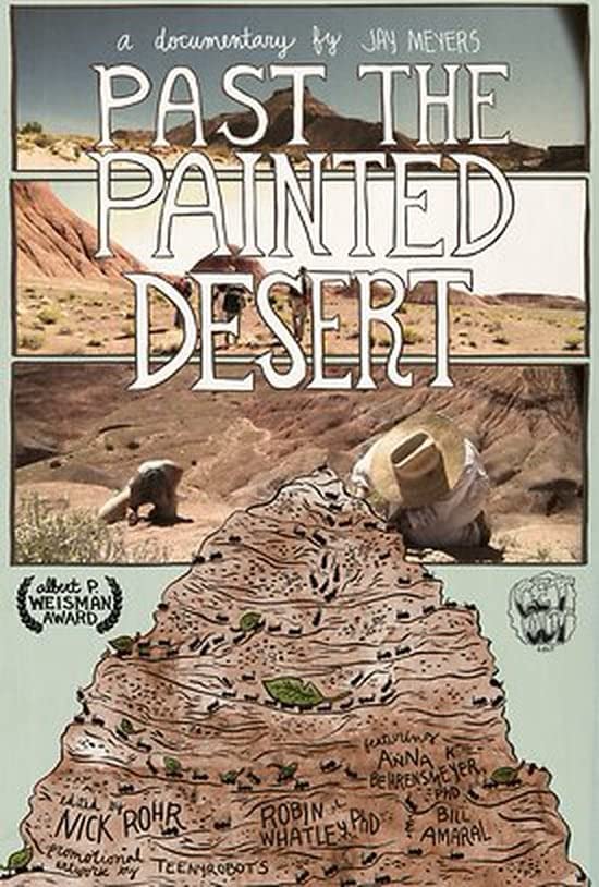 Past The Painted Desert