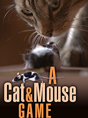 A Cat And Mouse Game