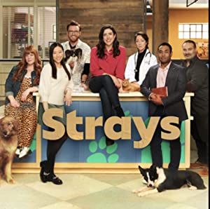 Strays: Season 1