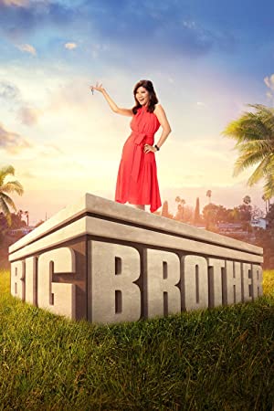Big Brother (us): Season 24