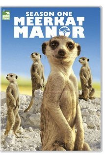 Meerkat Manor: Season 1