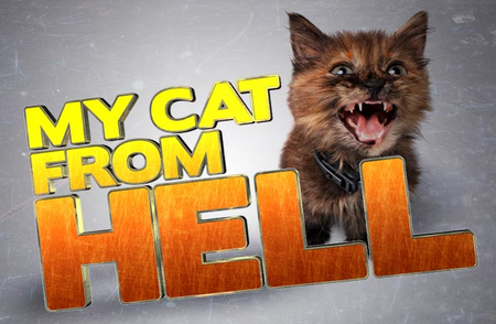 My Cat From Hell: Season 2