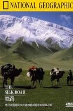 Treasure Seekers: The Silk Road