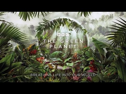 The Green Planet: Season 1